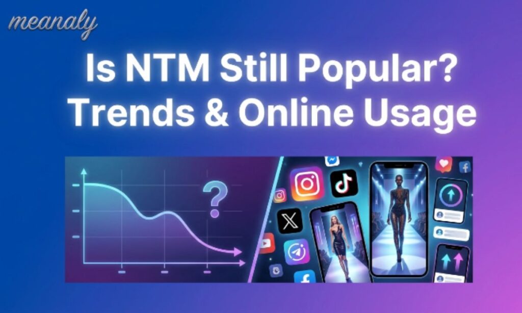 Is NTM Still Popular Trends & Online Usage