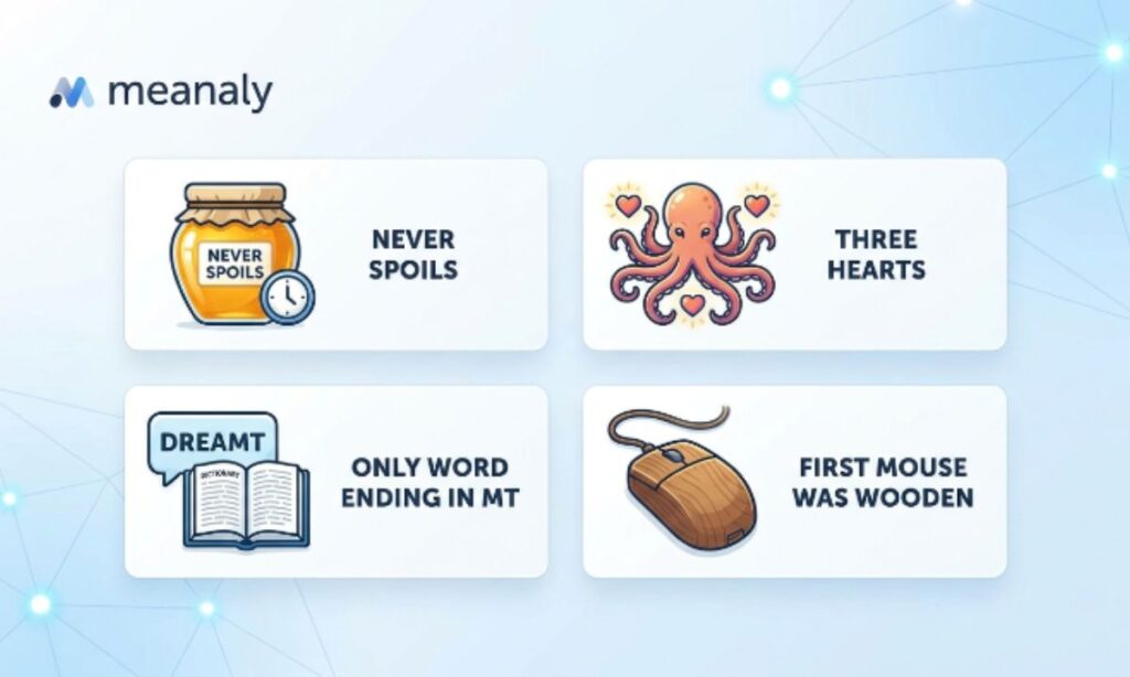 key features