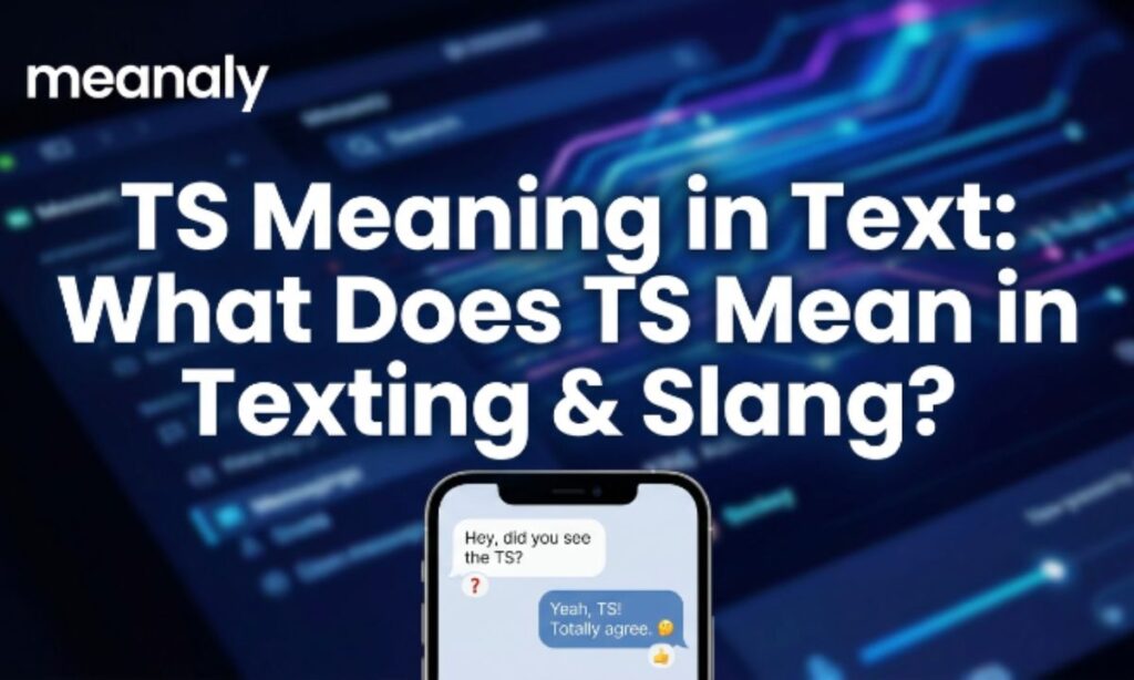 ts meaning in chat