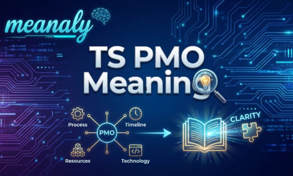 ts pmo meaning